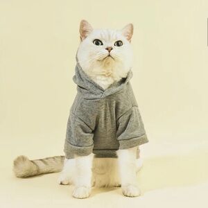 🩷 FREE WITH ANY PURCHASE Gray Pet Cat or Dog Hoodie Sweatshirt